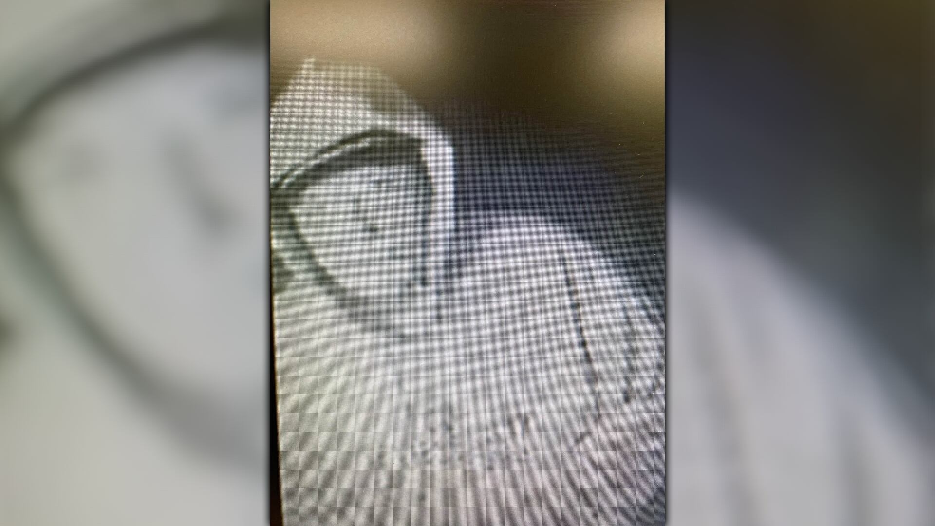 Marshall County deputies ask for help identifying man, vehicle and dog
