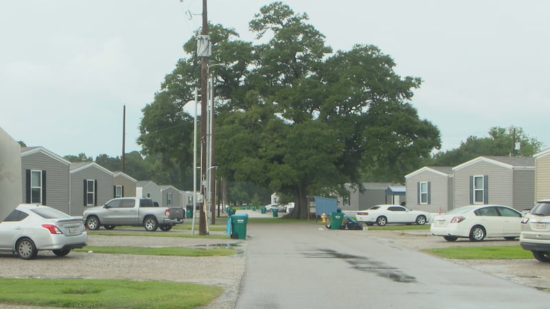 Authorities say a young girl has died after being injured during an altercation.