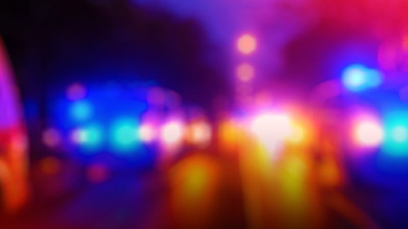 Police in Nebraska say a dog accidentally shot a person with a shotgun at a convenience store.