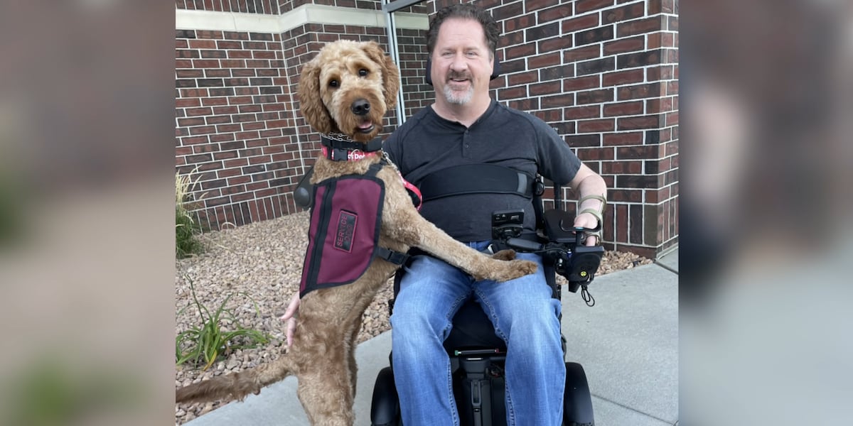 Fargo Rabbit Dog Fargo community and beyond continues search for missing service dog