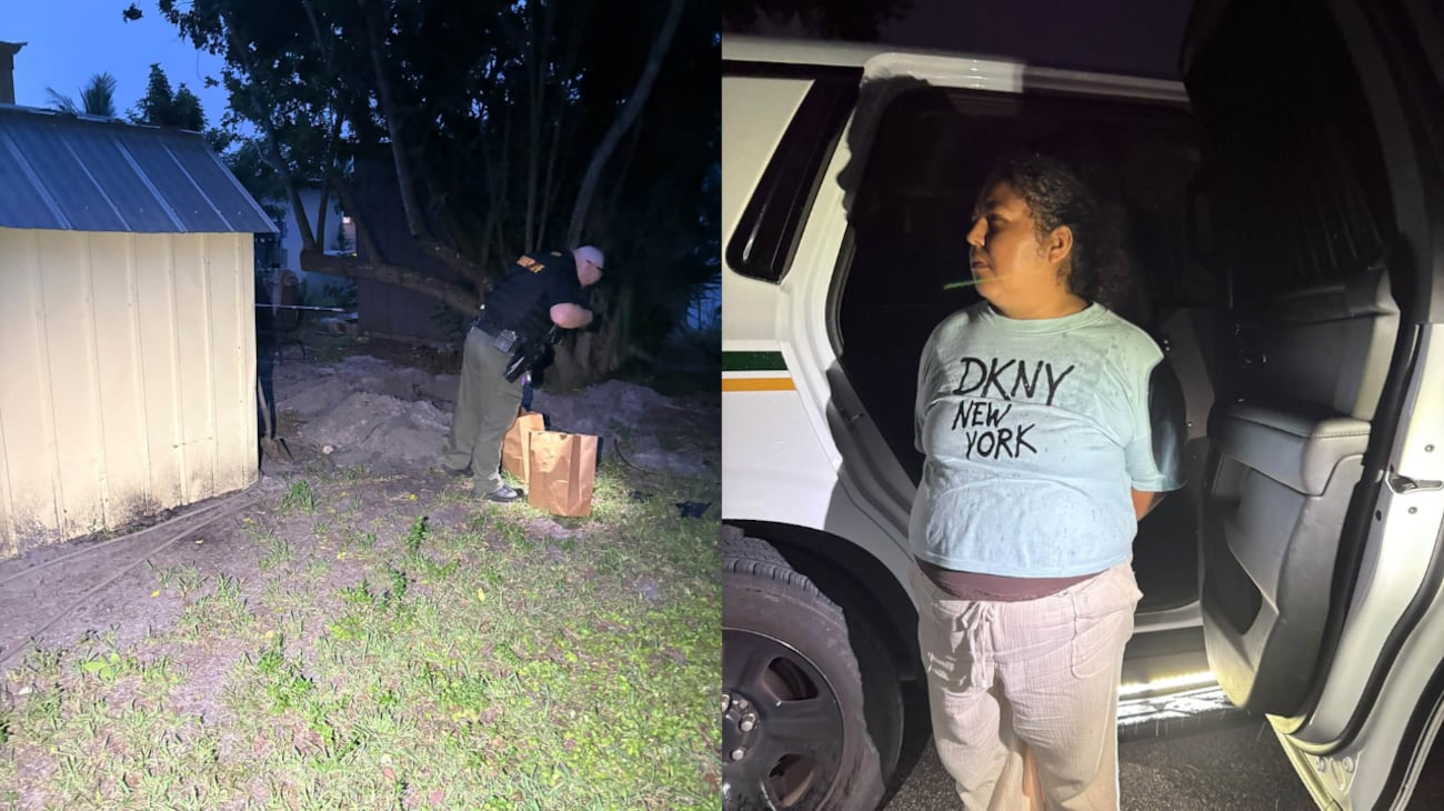 The Martin County sheriff said two cats survived and two others were found dead.