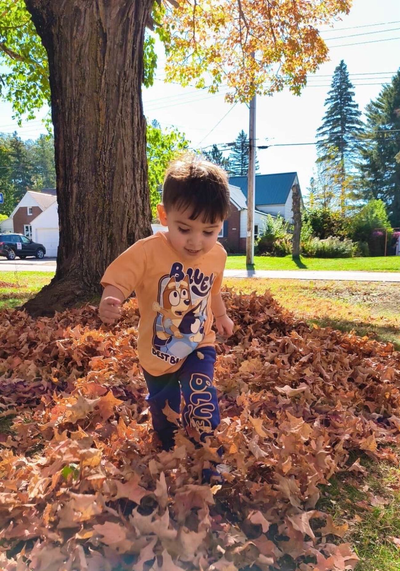 The 2-year-old Michigan boy was struck and killed by a vehicle in March.