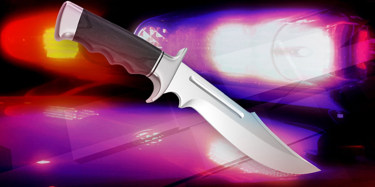 West Fargo man apprehended after running from police with knife