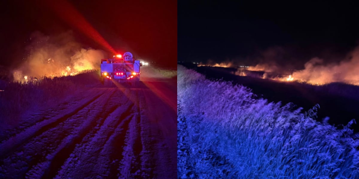 Manvel Fire Department puts out early morning July 4th grass fires