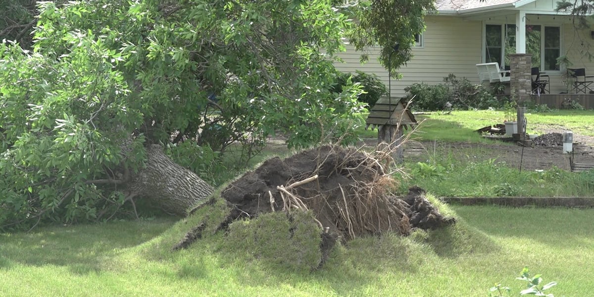 Cleanup underway after Detroit Lakes tornado injures 3, damages homes