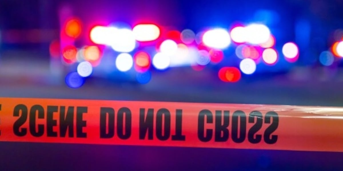 Vehicle Involved