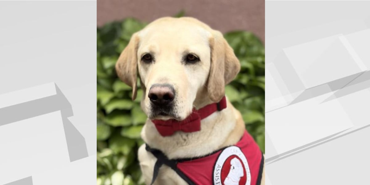 Clay County adds four-legged support for victims in justice system