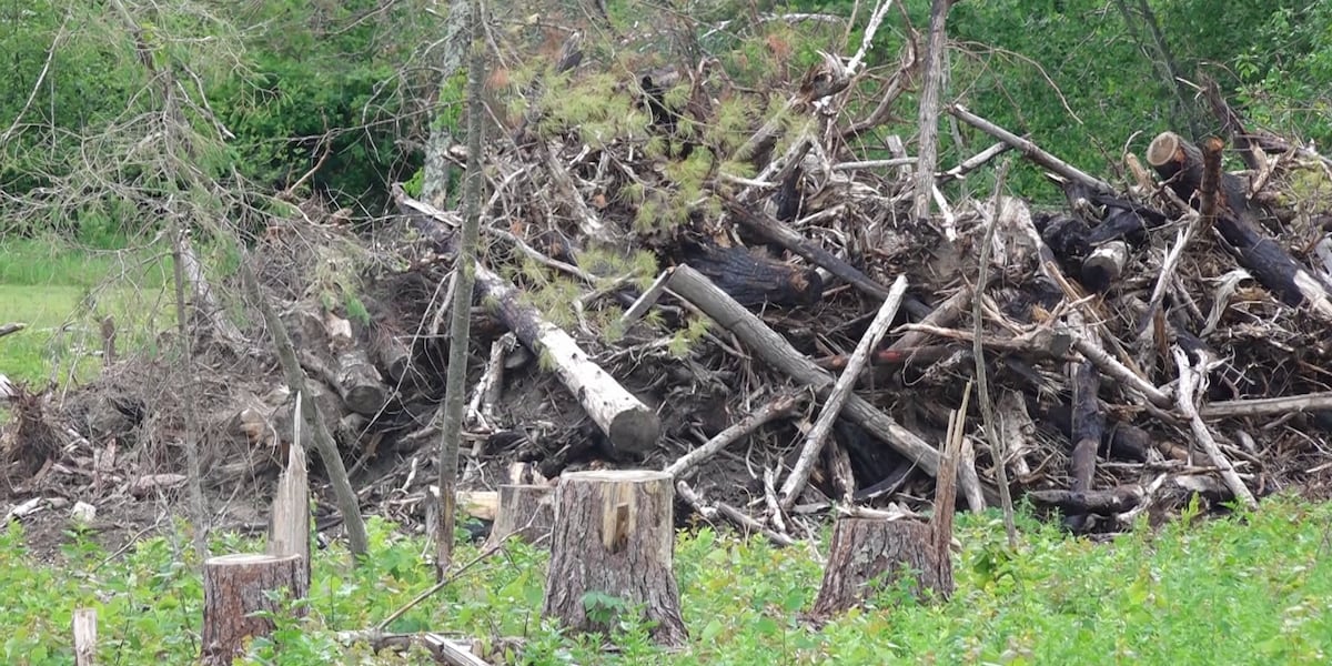 DNR warns drought extends wildfire risk into summer for northern Minnesota