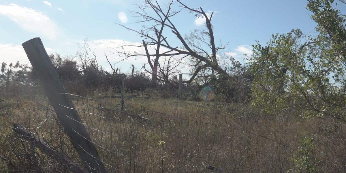 Ef5 Tree A look at the damage from the first EF-5 tornado in the U.S. since 2013