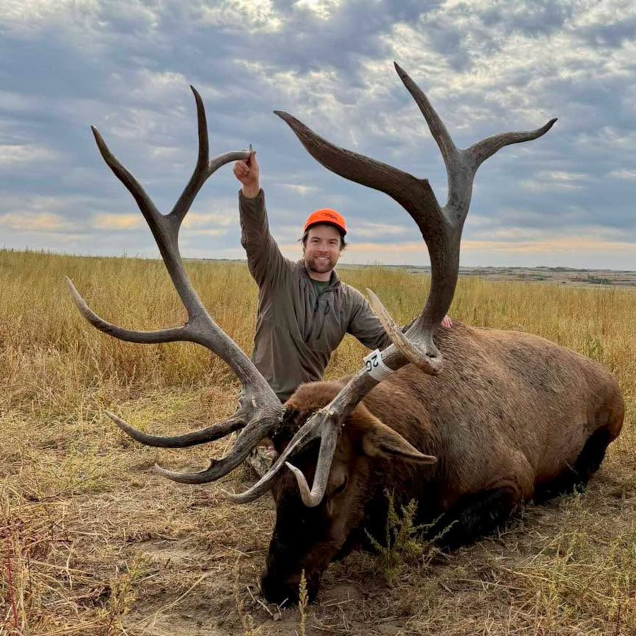 Photos shared online show the hunt