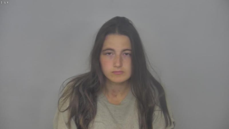 Kailey Erhart is facing charges of murder, attempted murder and child abuse after a report of...