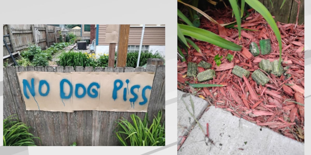 Minnesota AG sues Mankato couple accused of placing rat poison near sidewalk to deter dogs