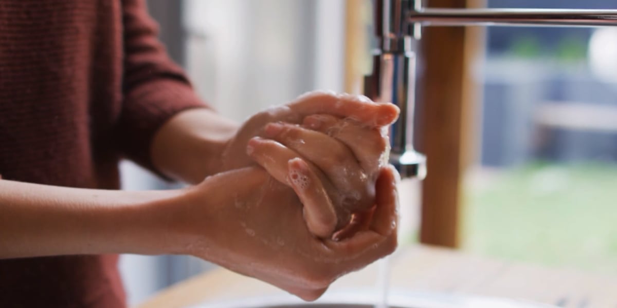 Antibiotic-resistant bacteria found