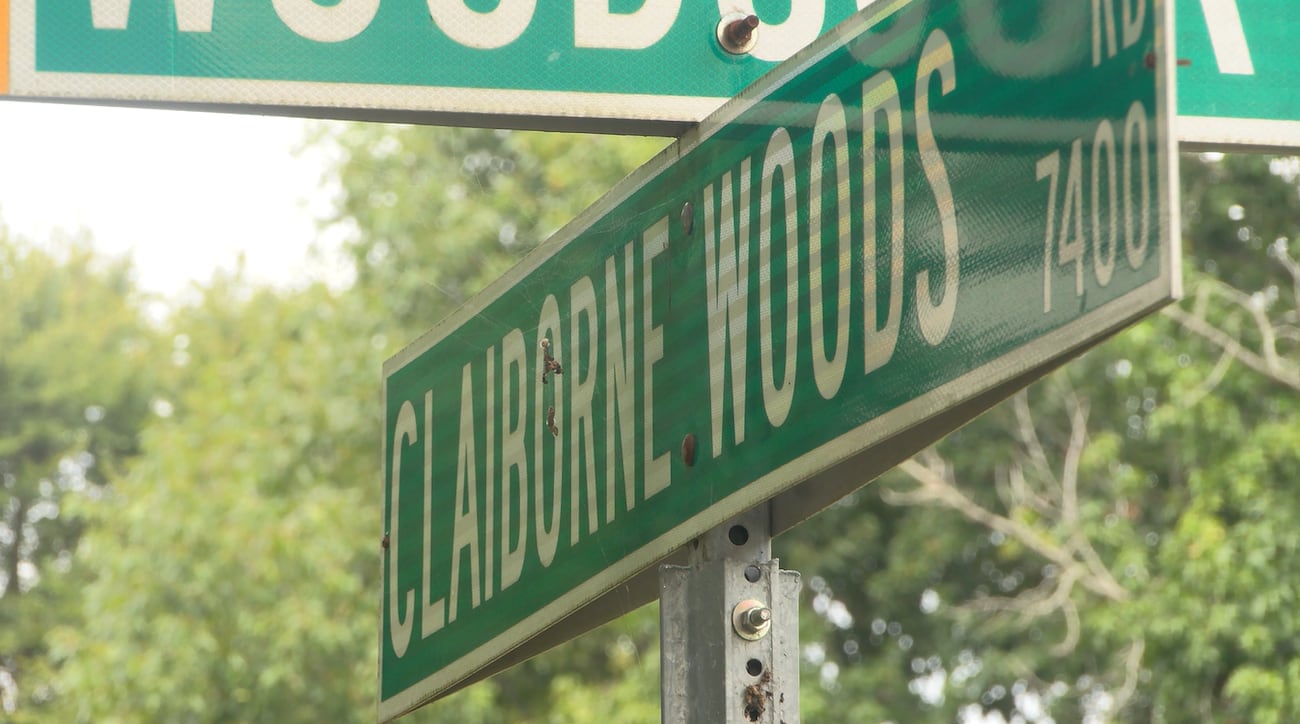 A pack of dogs attacked a woman and her neighbors in the front yard of her home in a northwest...