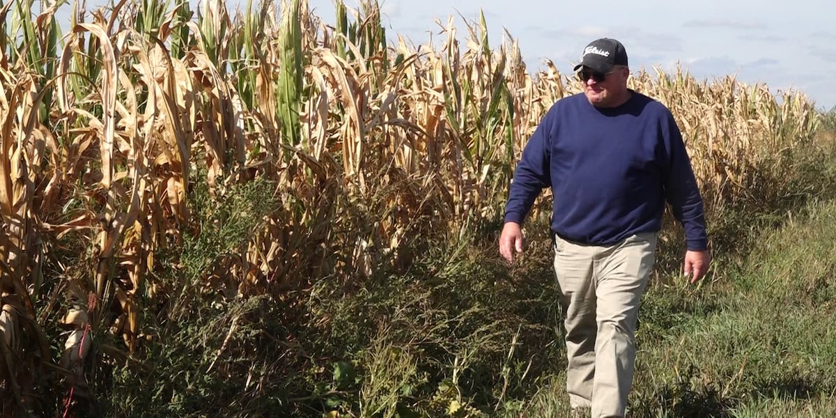 International trade affects crop stress