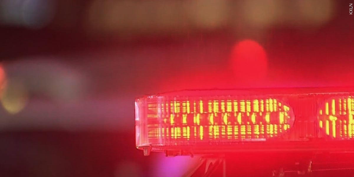 Authorities Search