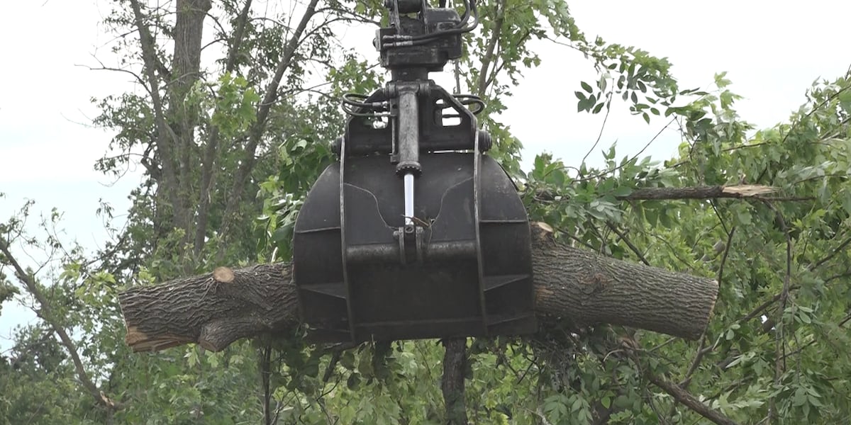 Tree crews working around the clock in Detroit Lakes tornado zone