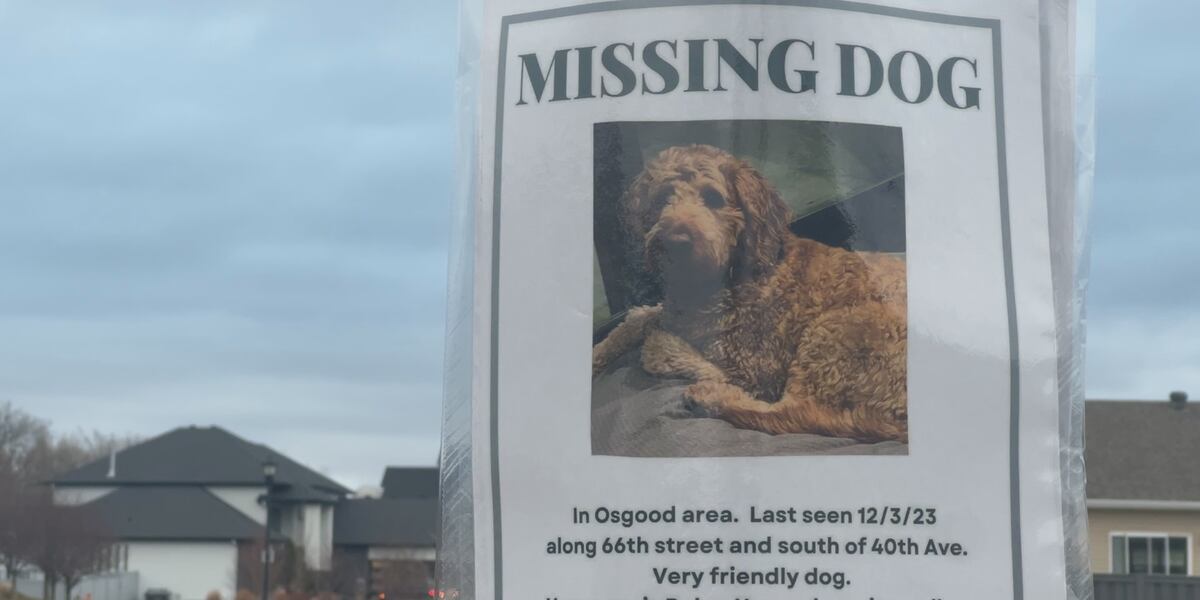 Fargo Rabbit Dog “She’s a part of me”: Fargo man still searching for missing service dog