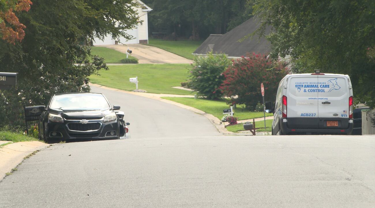 A pack of dogs attacked a woman and her neighbors in the front yard of her home in a northwest...