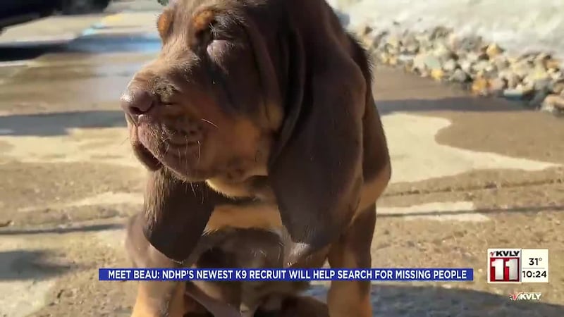 Valley Today on KVLY